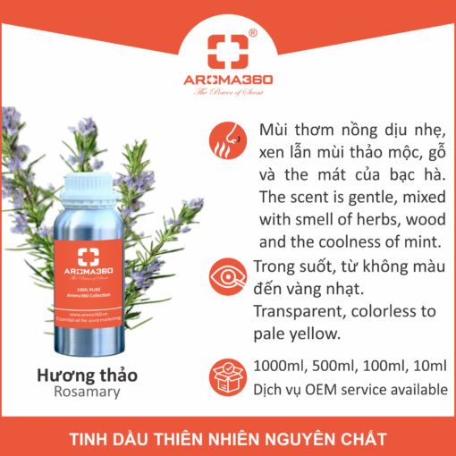 Tinh dầu Hương Thảo Aroma360