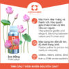 Tinh dầu Hoa Sen Hồng Aroma360